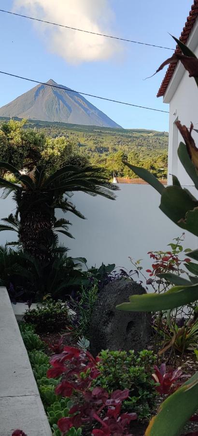 Вилла Casa Da Avo Biza Сан-Роки-ду-Пику Экстерьер фото