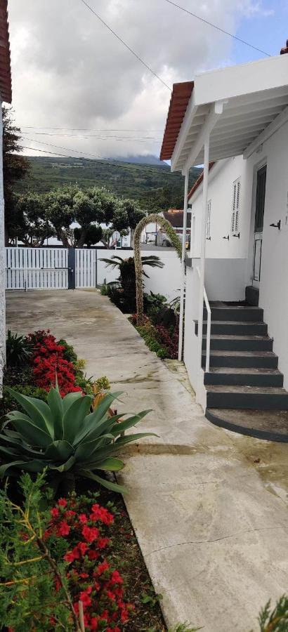 Вилла Casa Da Avo Biza Сан-Роки-ду-Пику Экстерьер фото